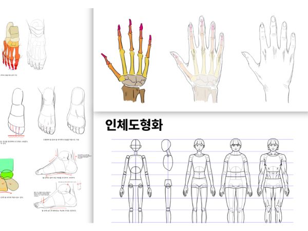 인체 드로잉